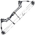 Блочный лук Bowmaster UltraSport с левого бока
