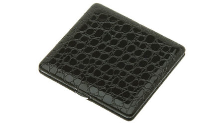 купите Портсигар S.Quire CP11A00-12 в Иркутске